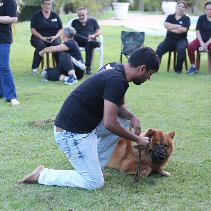 Eduardo em sessão com Chow Chow em grupo